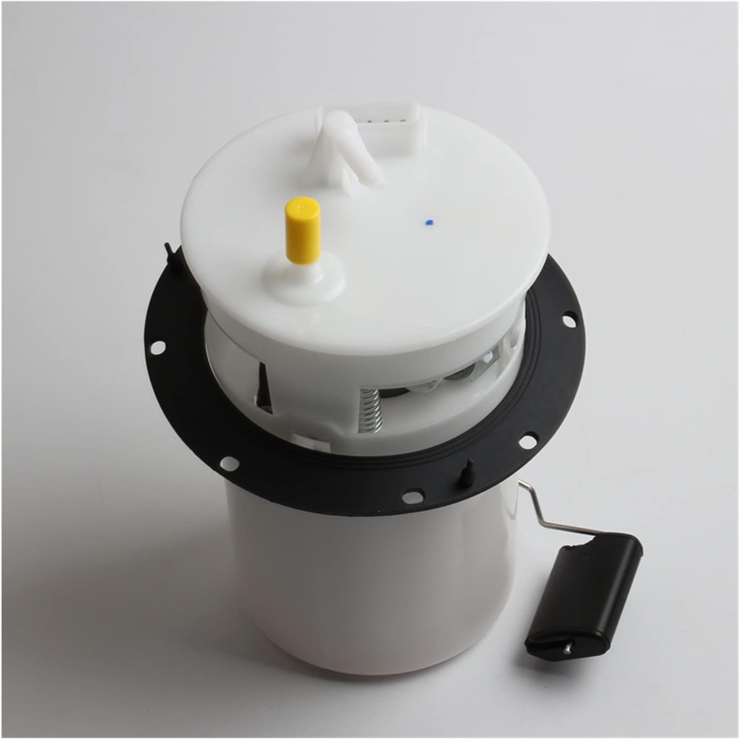 ケン・メル　プロフ必読専用ページ スライド6.png